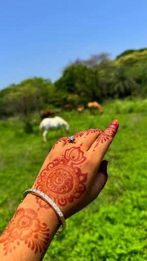 Fiza mehendi arts — photo 3