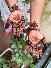 Rajasthani mehndi art — photo 1